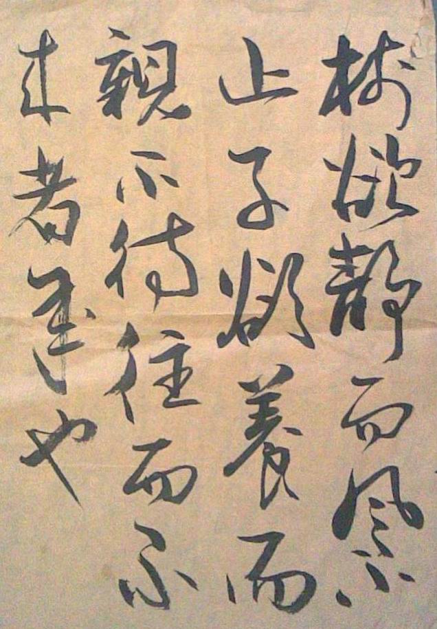 树欲静而风不止008).jpg