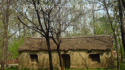 t0156122be5cd10fd5f.jpg