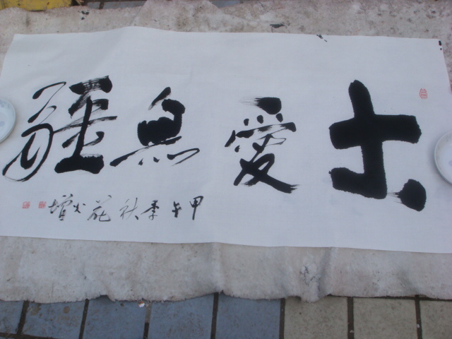 DSC08686.JPG