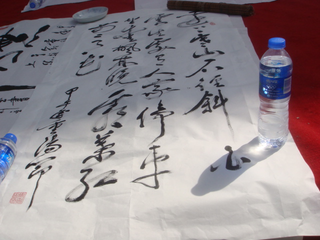 DSC08697.JPG