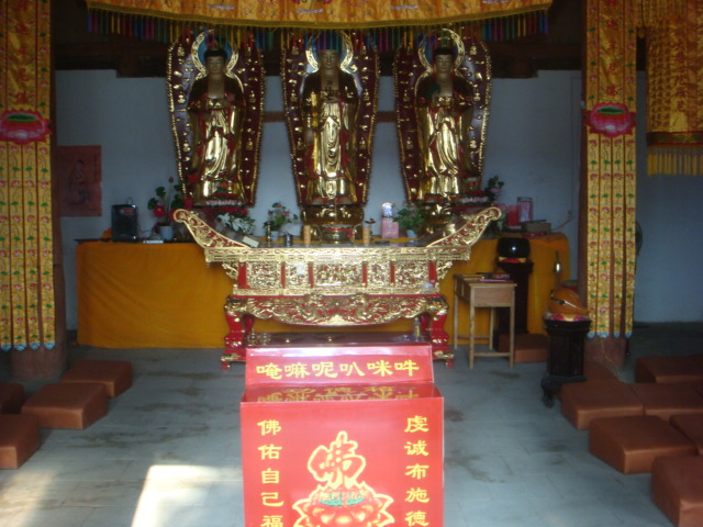 DSC09848.JPG