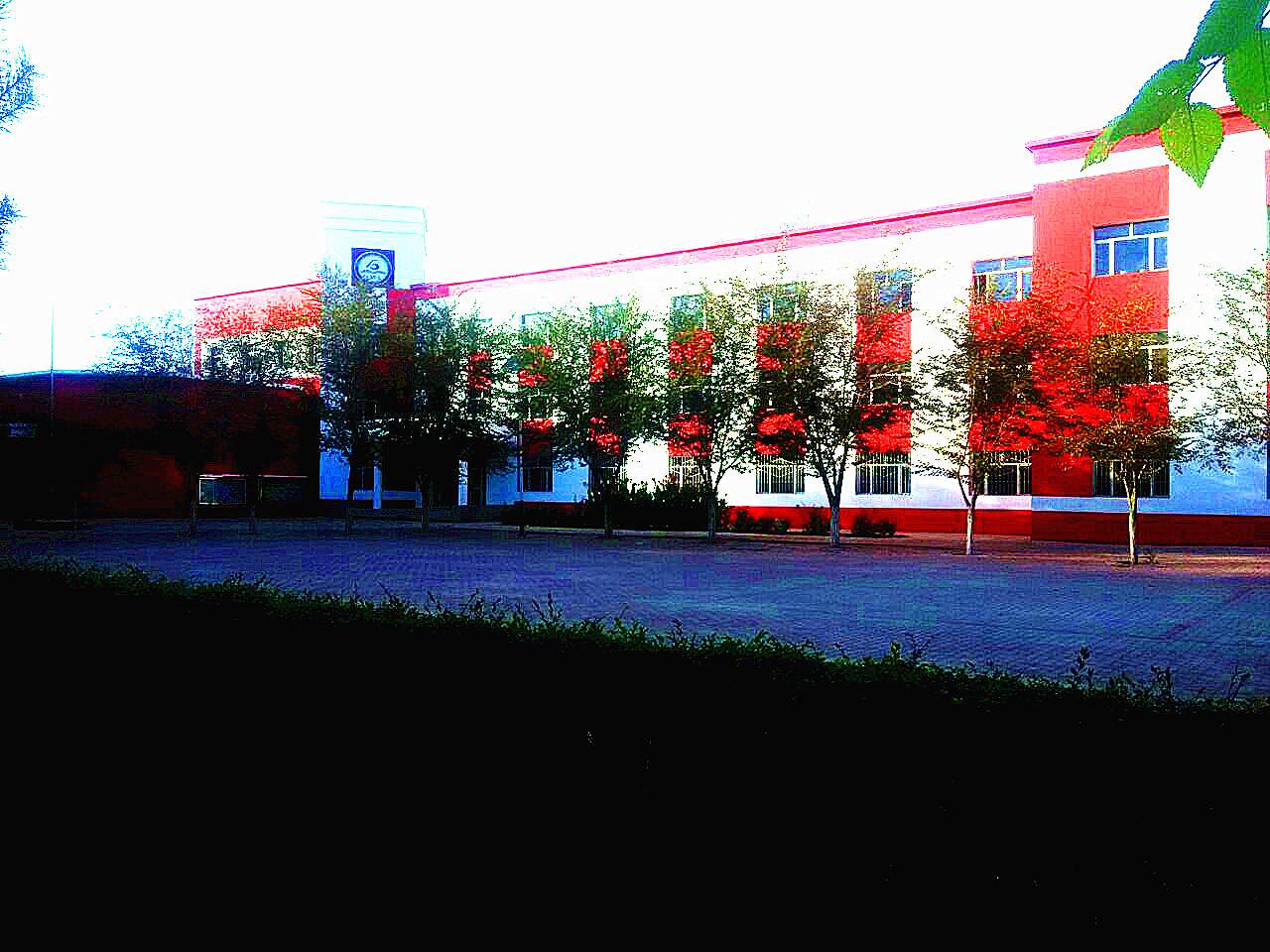 61.jpg