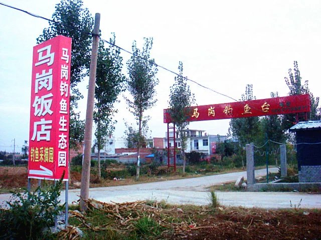 44.jpg