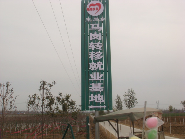 DSC03303.JPG