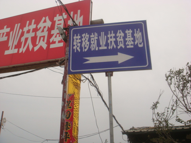 DSC03334.JPG