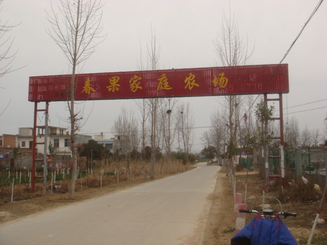 DSC03343.JPG