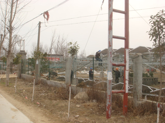 DSC03347.JPG