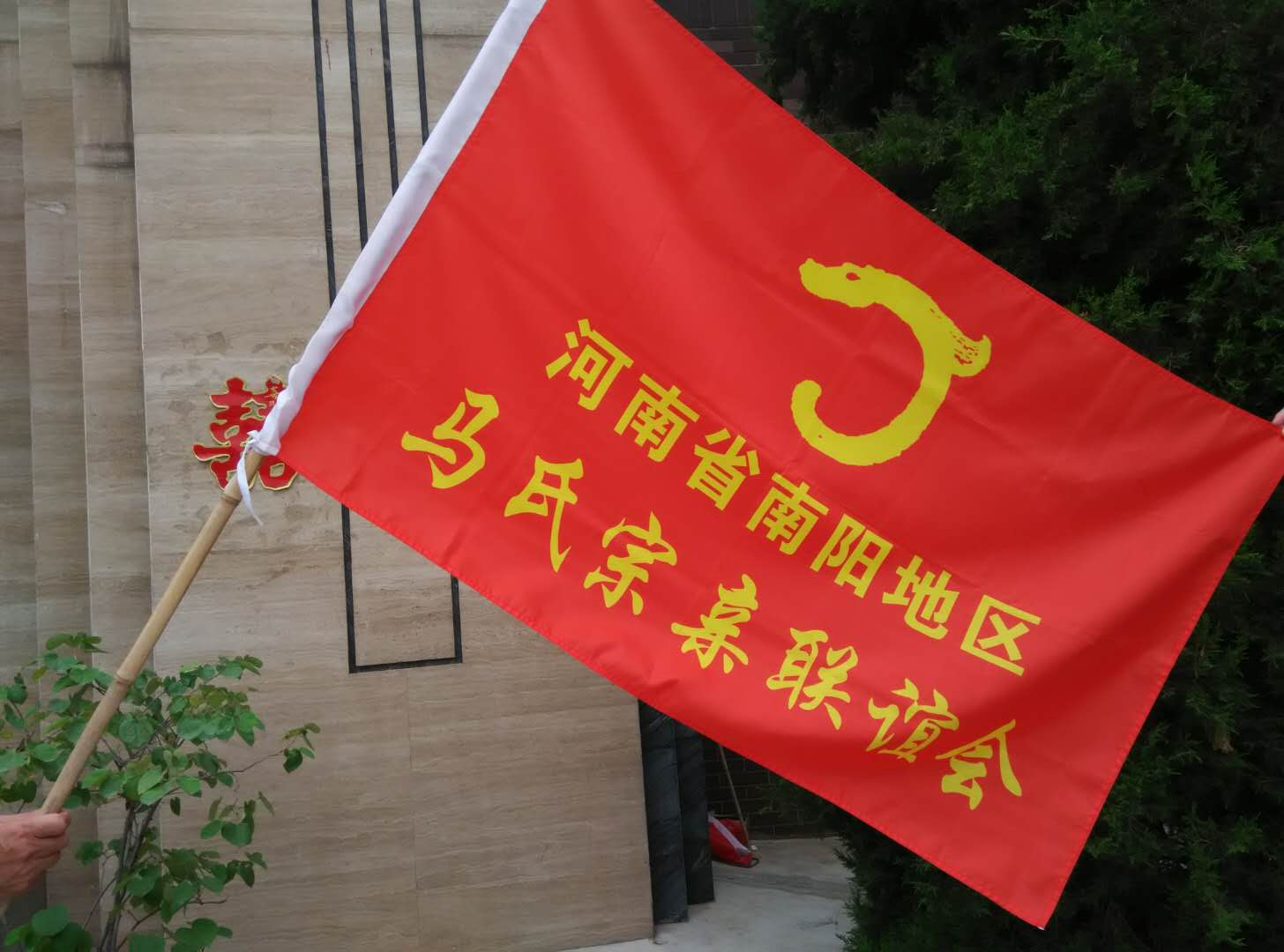 39.jpg